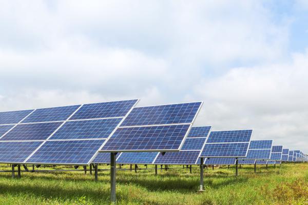 Madisonville CISD agrees to solar farm construction